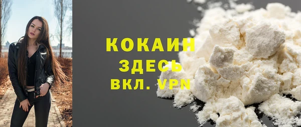 ГАЛЛЮЦИНОГЕННЫЕ ГРИБЫ Алзамай