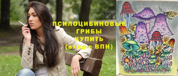 ГАЛЛЮЦИНОГЕННЫЕ ГРИБЫ Алзамай