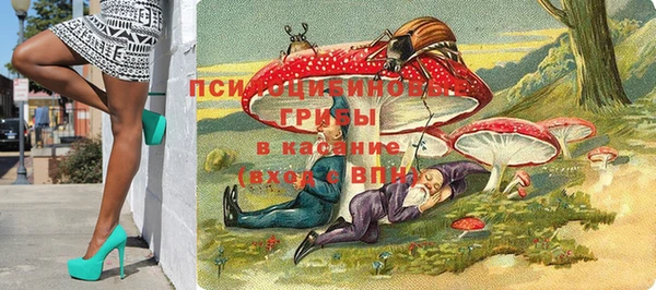 ГАЛЛЮЦИНОГЕННЫЕ ГРИБЫ Алзамай