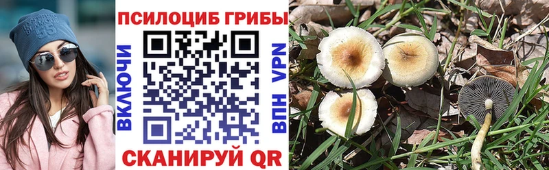 OMG вход  Бахчисарай  Галлюциногенные грибы Magic Shrooms 