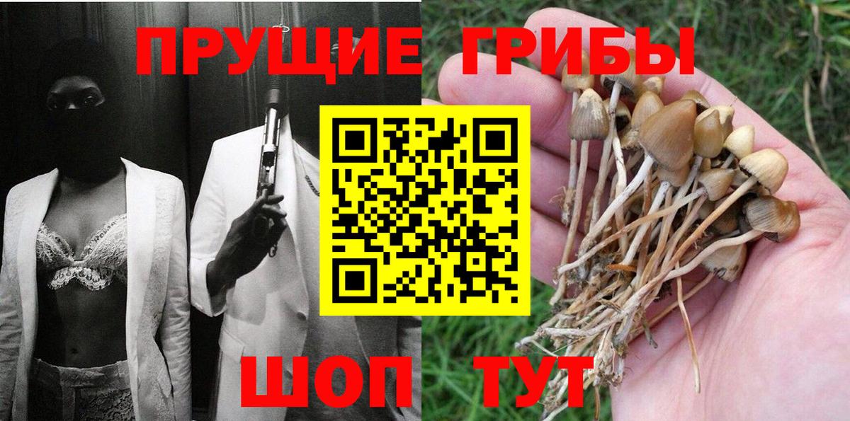 Псилоцибиновые грибы Psilocybe Бахчисарай