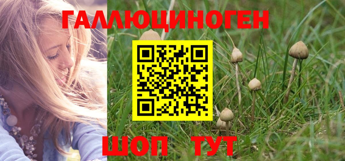Бахчисарай  где найти наркотики  Псилоцибиновые грибы мухоморы  Вход с VPN  Галлюциногенные грибы Magic Shrooms 